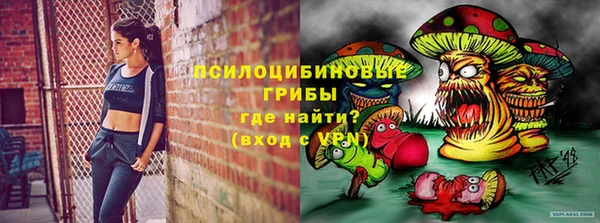 спиды Абаза
